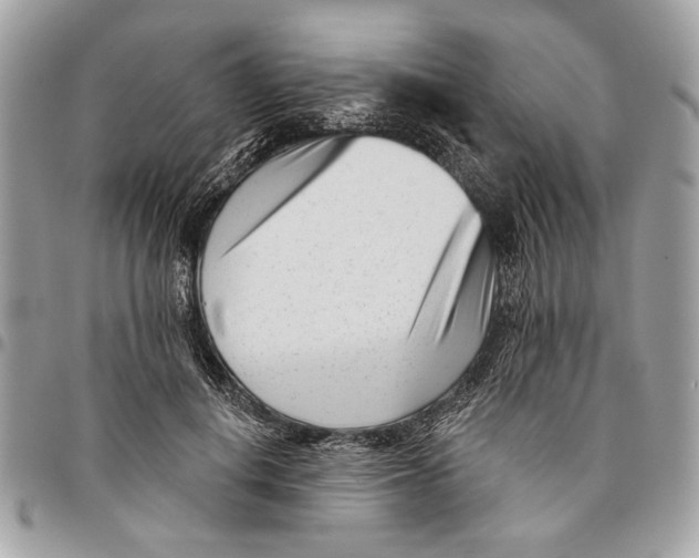 X0000096210648200802081503