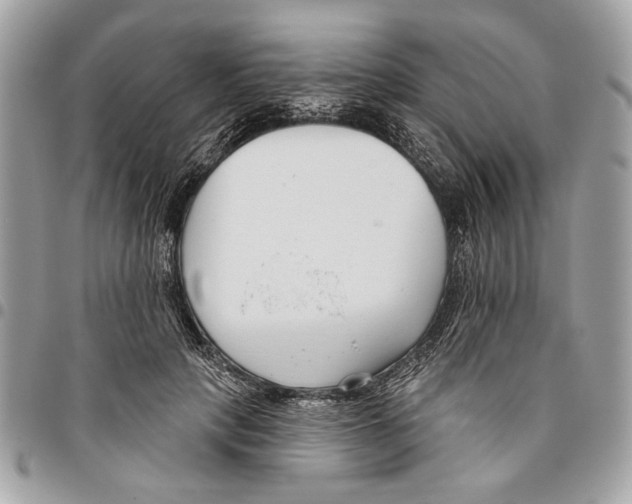 X0000096210649200802081503