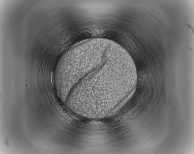 X0000096210650200802081503