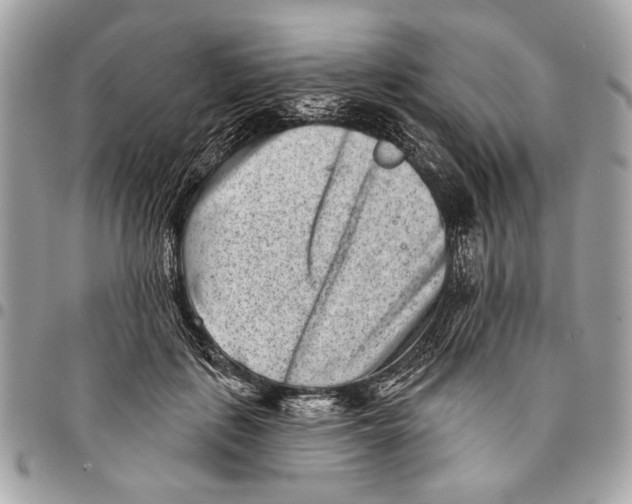 X0000096210651200802081503