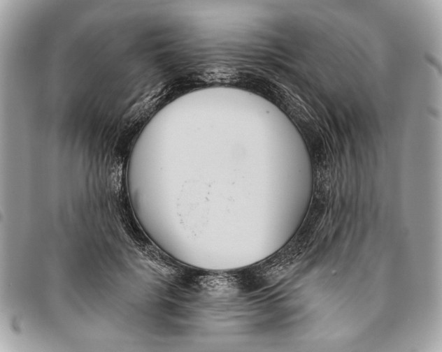 X0000096210652200802081503