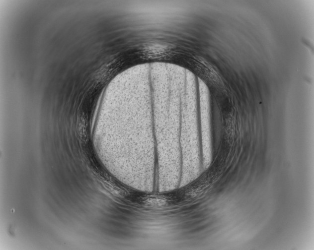 X0000096210653200802081503