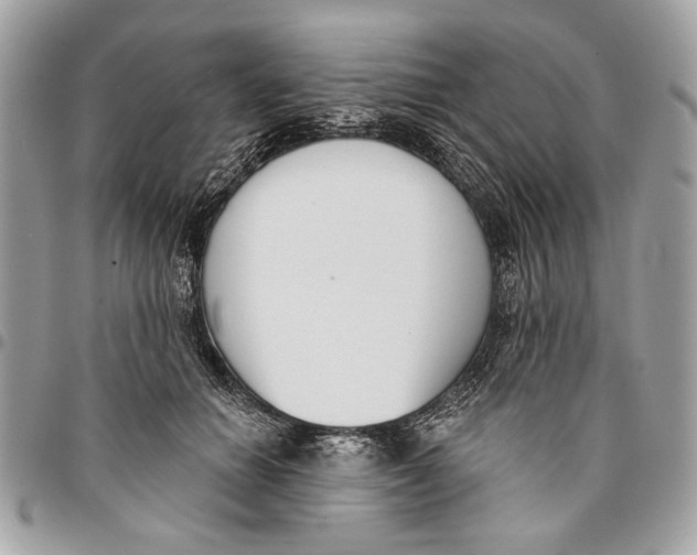 X0000096210654200802081503