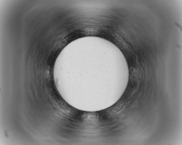 X0000096210655200802081503