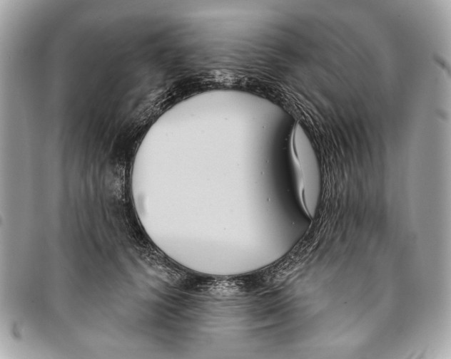 X0000096210656200802081503