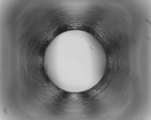 X0000096210657200802081503