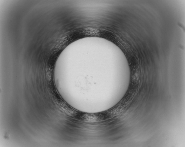 X0000096210658200802081503