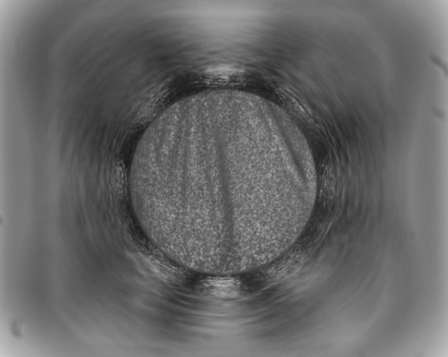 X0000096210659200802081503