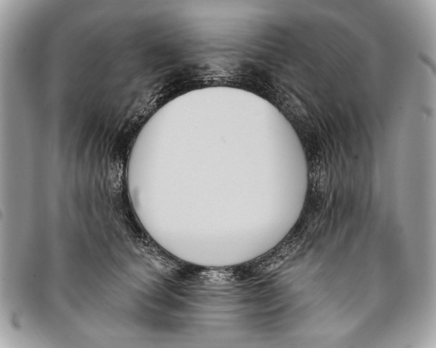 X0000096210660200802081503