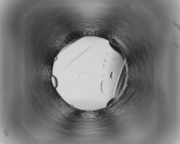 X0000096210661200802081503