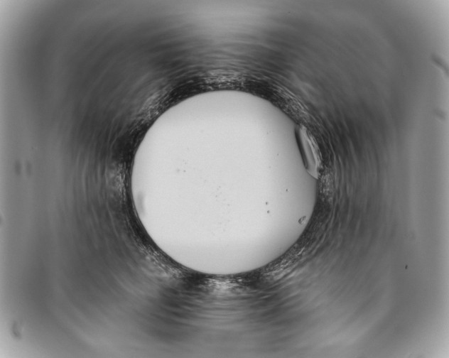 X0000096210662200802081503