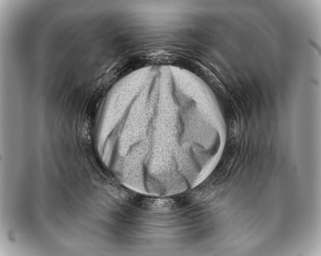 X0000096210663200802081503