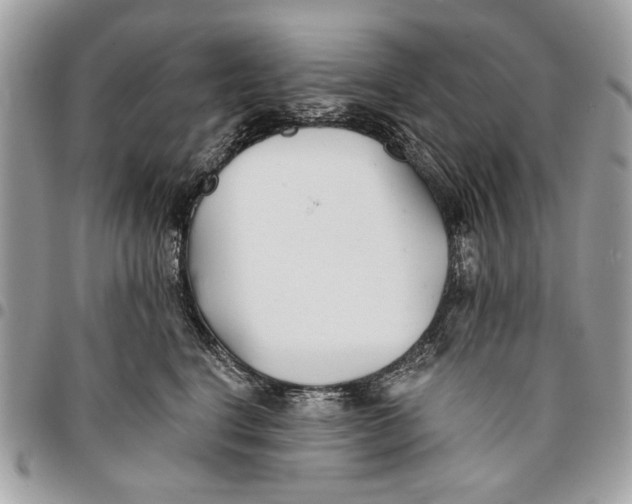 X0000096210664200802081503