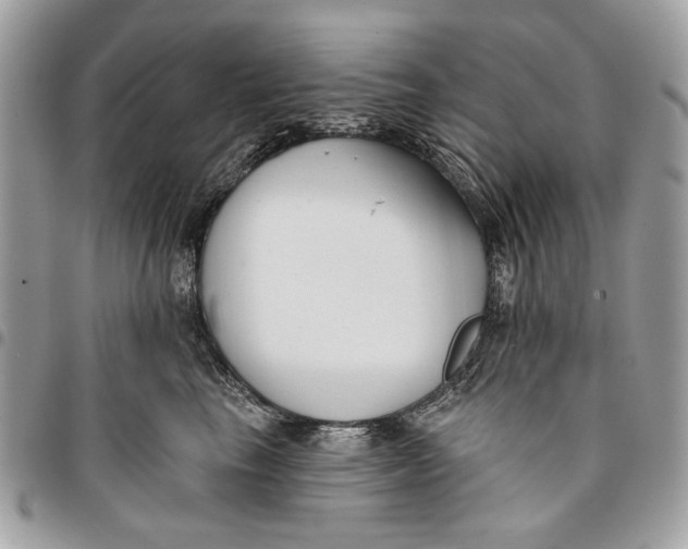 X0000096210665200802081503