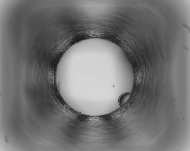 X0000096210666200802081503