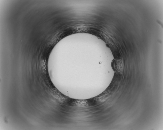 X0000096210667200802081503