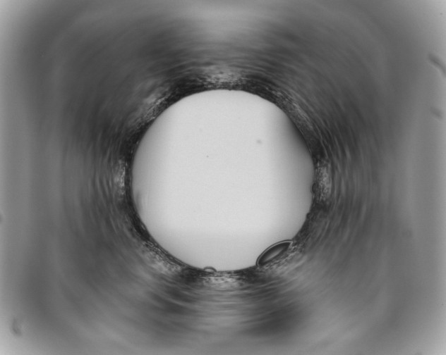 X0000096210668200802081503