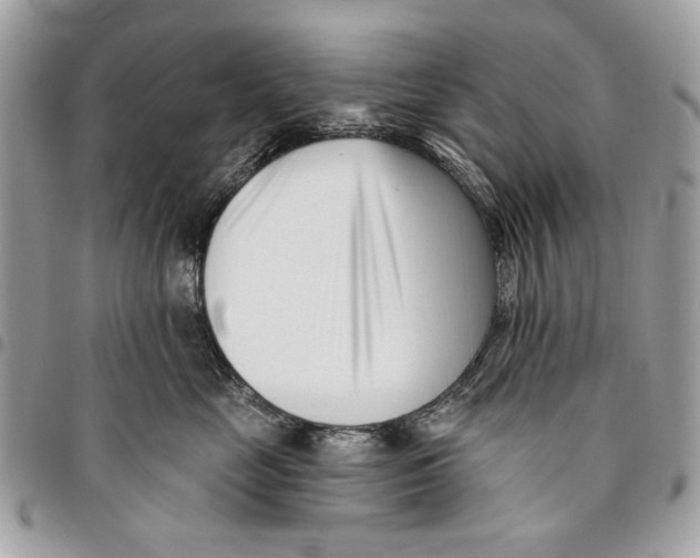 X0000096210669200802081503