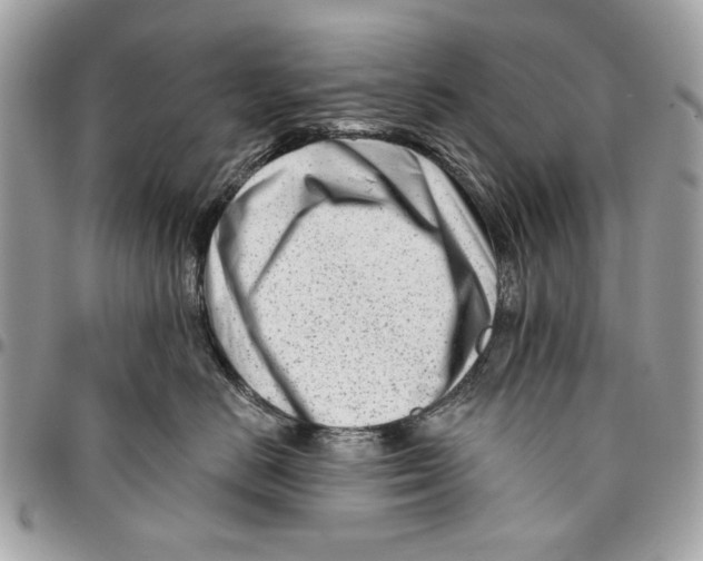 X0000096210670200802081503