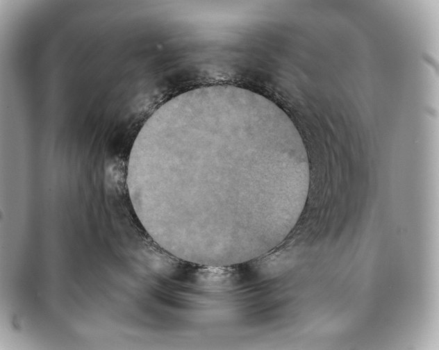 X0000096210672200802081503