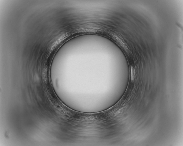 X0000096210675200802081503