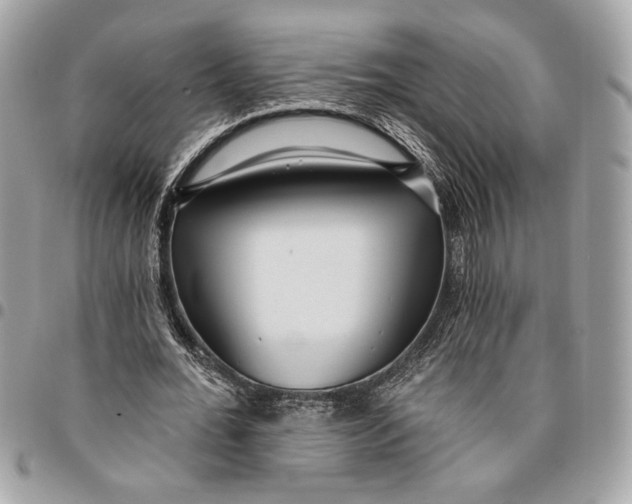 X0000096210676200802081503