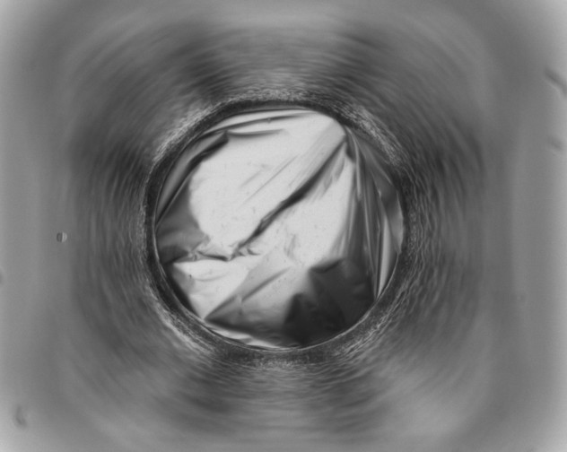 X0000096210677200802081503