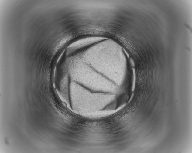 X0000096210679200802081502