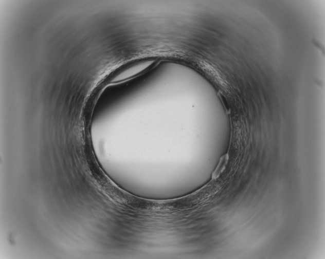 X0000096210680200802081502