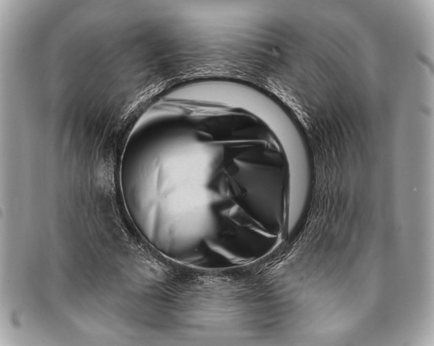 X0000096210681200802081502