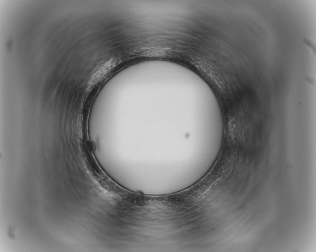 X0000096210682200802081502