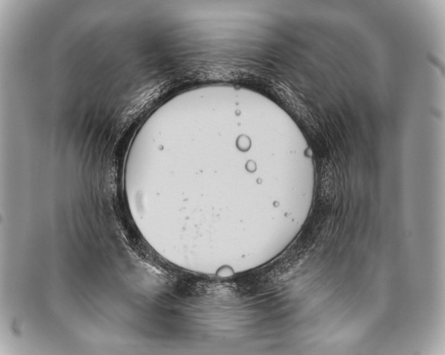 X0000096210683200802081502