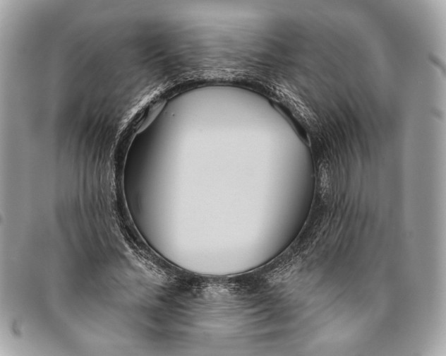 X0000096210684200802081502