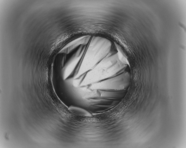 X0000096210685200802081502