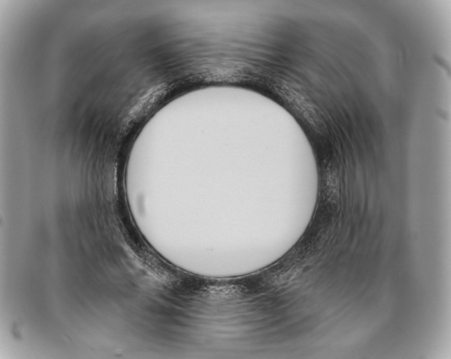 X0000096210686200802081502