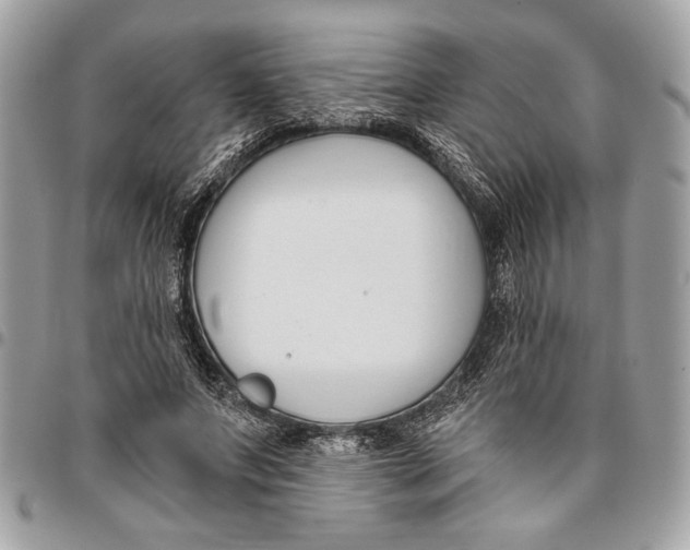 X0000096210687200802081502