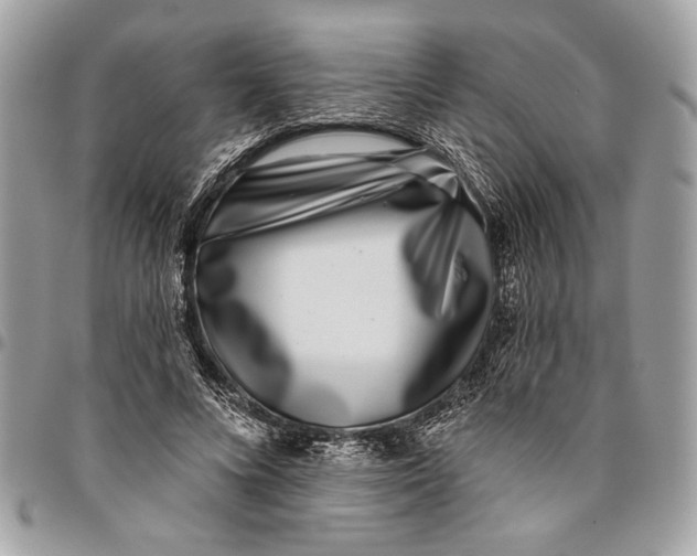 X0000096210688200802081502