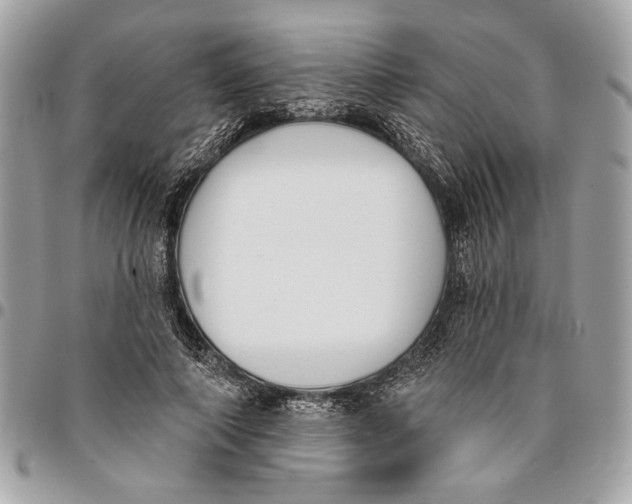 X0000096210690200802081502