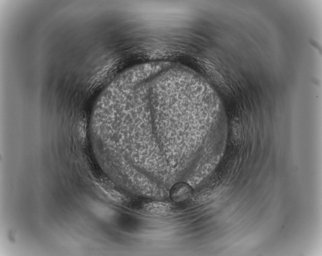 X0000096210691200802081502