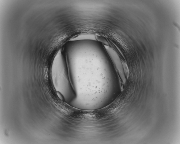 X0000096210692200802081502