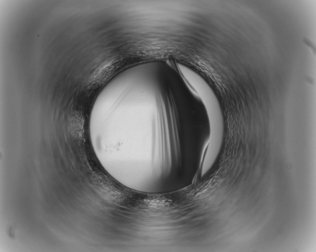 X0000096210693200802081502