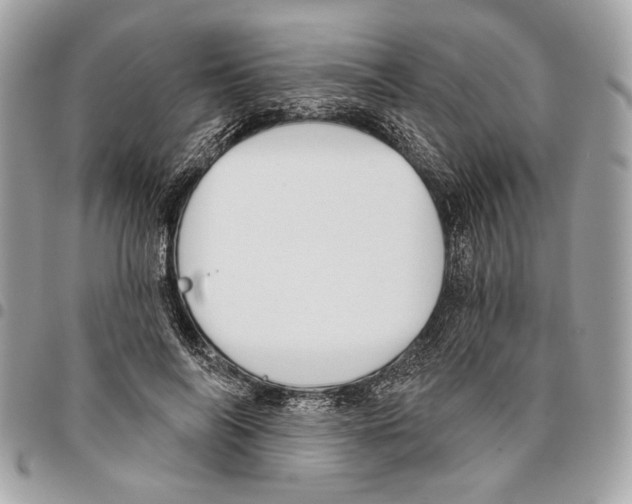 X0000096210694200802081502