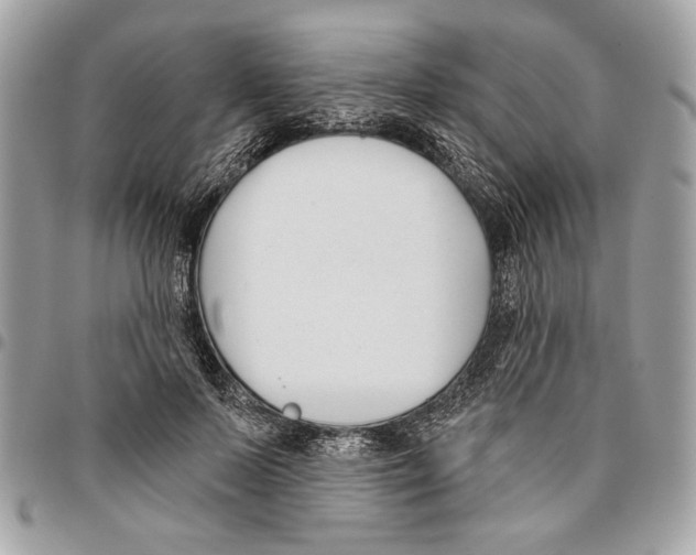 X0000096210695200802081502