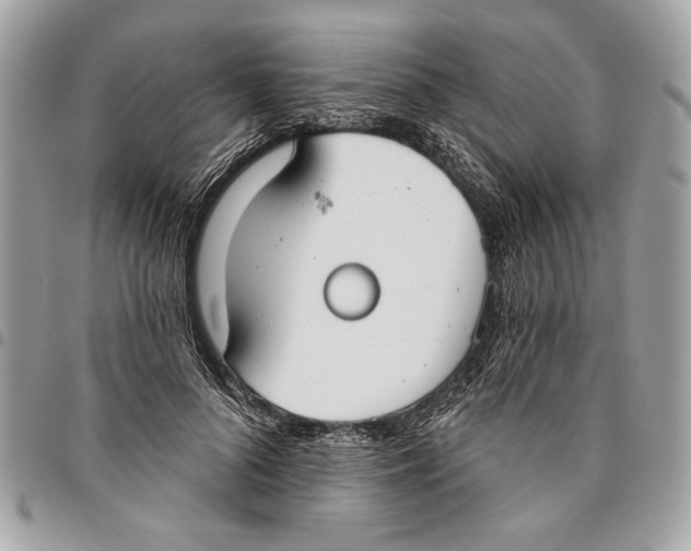 X0000096210696200802081502