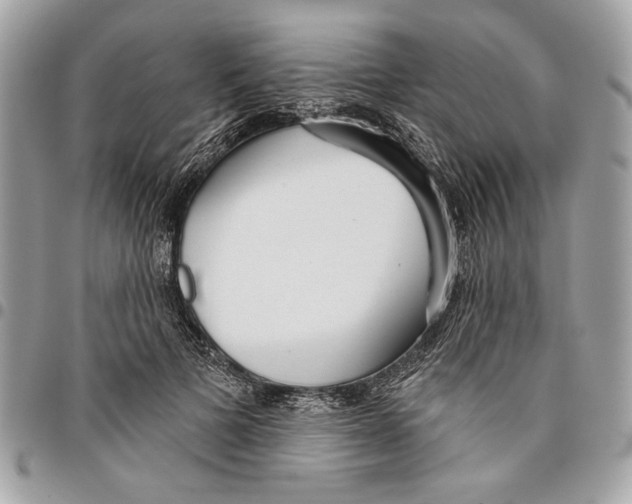 X0000096210697200802081502