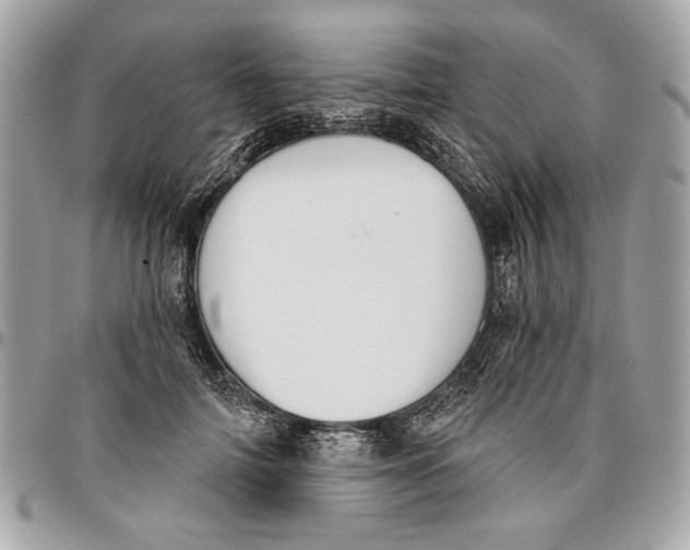 X0000096210698200802081502