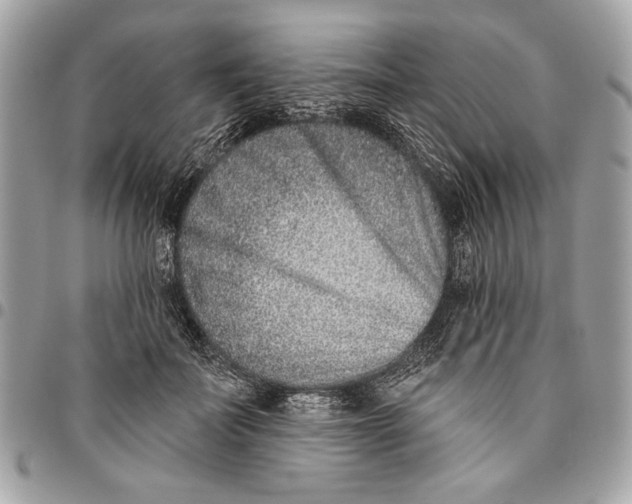 X0000096210699200802081502