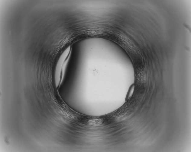 X0000096210700200802081502