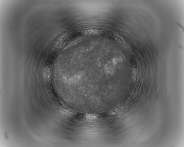 X0000096210701200802081502