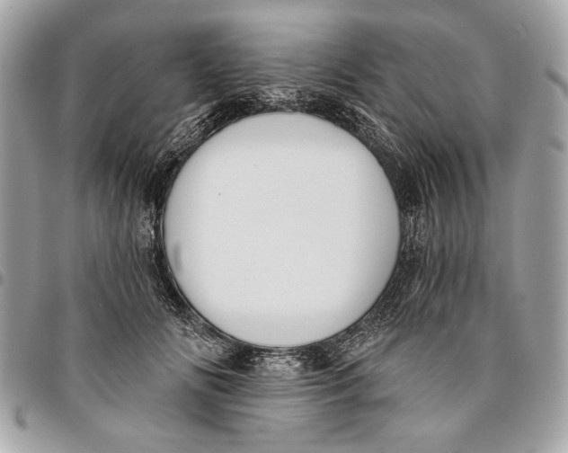 X0000096210702200802081502